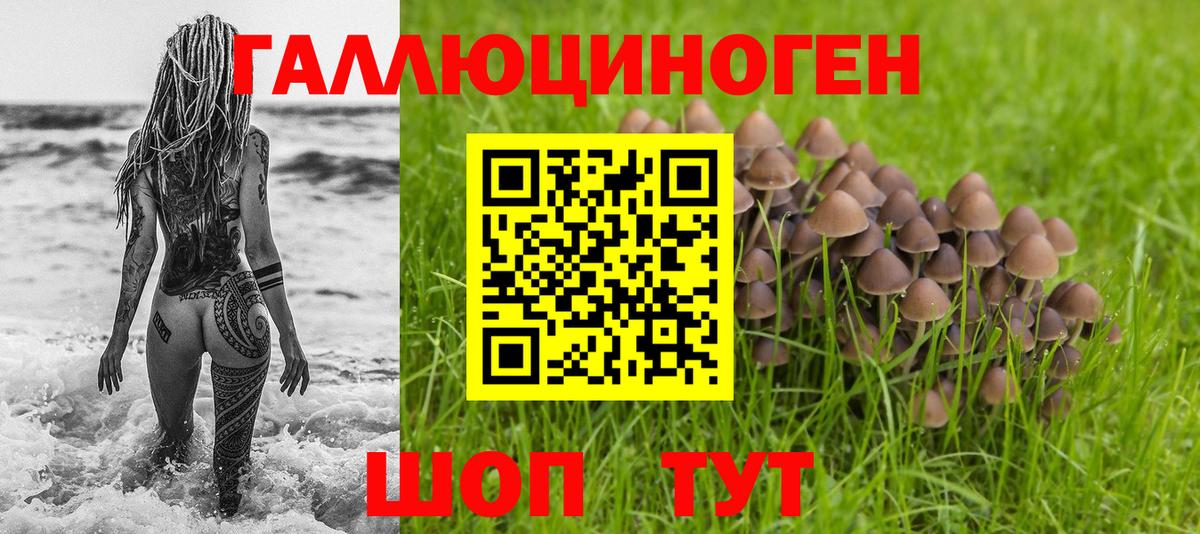 Галлюциногенные грибы MAGIC MUSHROOMS  Вход с VPN  Шарыпово  Галлюциногенные грибы Cubensis 